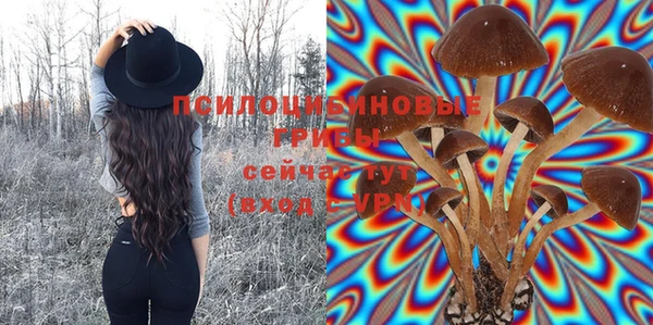 амф Волосово