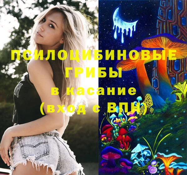 ешки Володарск