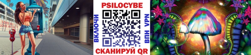 Купить  Пугачёв  Псилоцибиновые грибы мицелий 