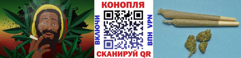 Марихуана OG Kush  Купить где  Пугачёв 